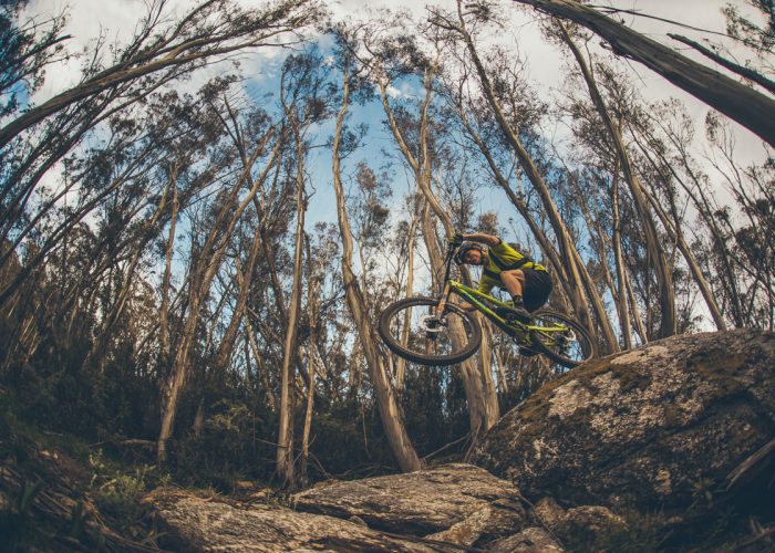 thredbo mountain bike park