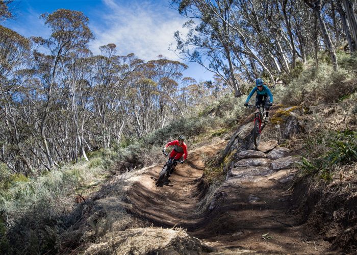 thredbo mtb trails